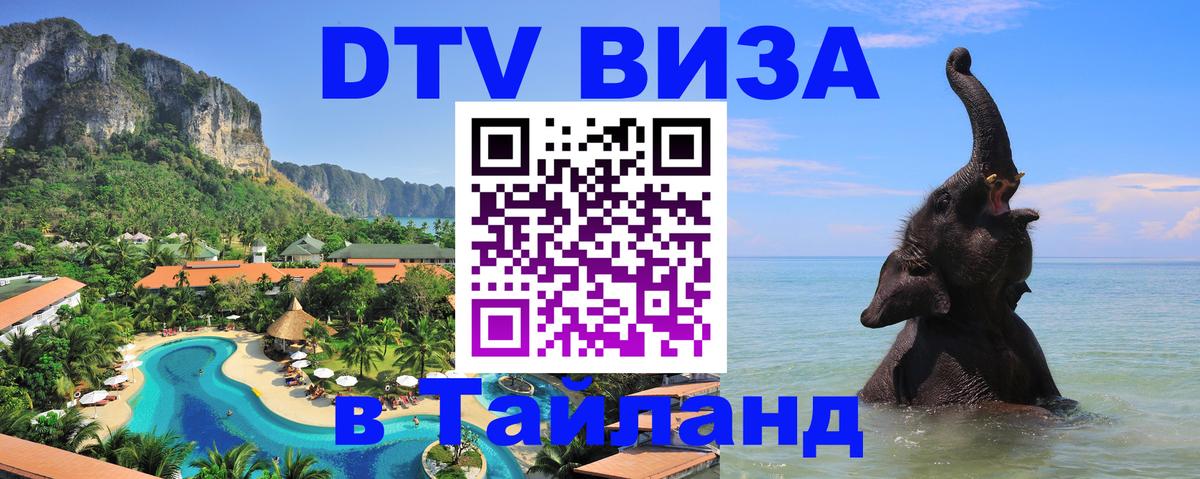 Оформление DTV визы под ключ: стоимость и тарифы, только загранпаспорт - 